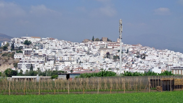 Vista de Salobrena desde la Vega. // Foto: José González